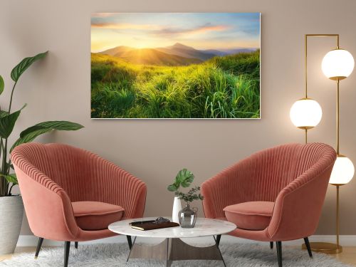 Mountain valley during sunset. Field with fresh grass and the mountain hills. Natural landscape at the summer time