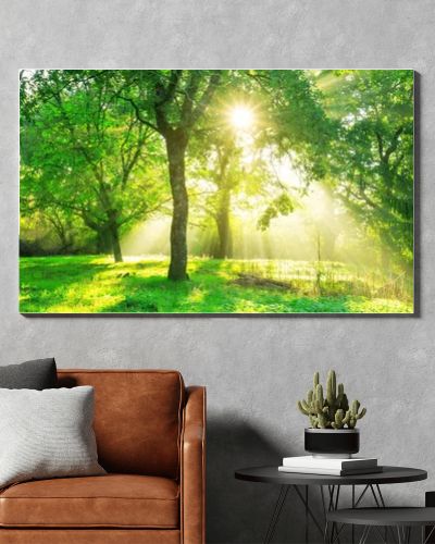 Green forest background with morning sunrise in spring season. Nature landscape.