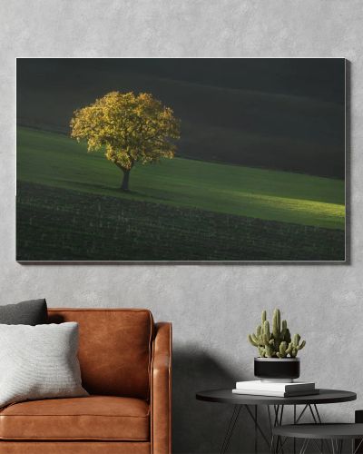 Beautiful sunset light on a lonely tree in Tuscany. Autumn countryside landscape near Pienza. Italy