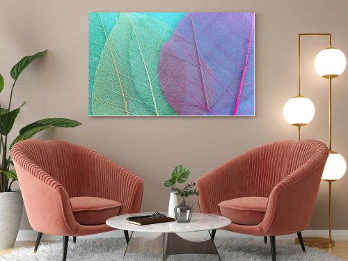 Colorful transparent and delicate skeleton leaves