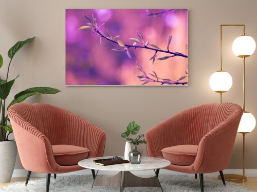 Branches of a pear with young leaves. Spring nature background