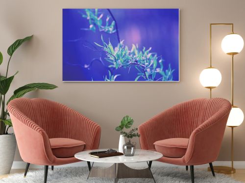 Young leaves on the bush in early spring