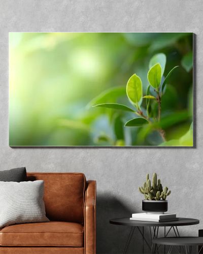 Closeup beautiful view of nature green leaf on greenery blurred background with sunlight and copy space. It is use for natural ecology summer background and fresh wallpaper concept.