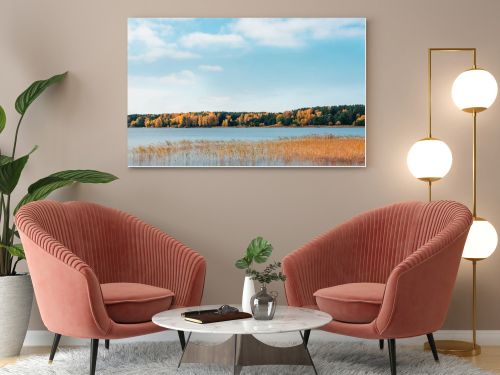 Autumn shores of lake near Ob river, Novosibirsk, Siberia, Russia with picturesque golden forest on opposite shore. Perfect sunny day with clear blue sky