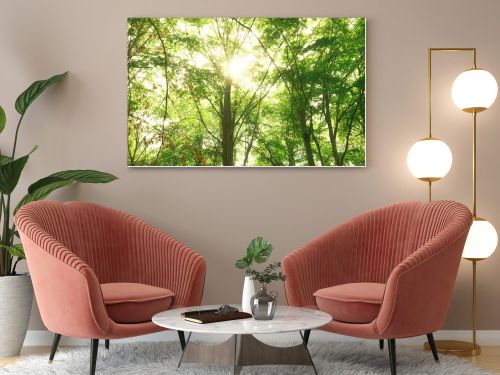 beautiful view of green trees. nature background