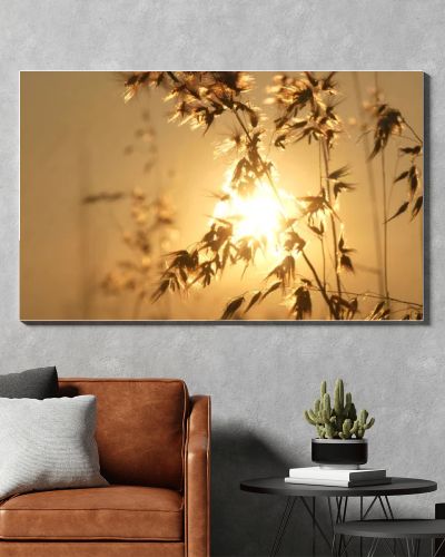 Grass field sunset Beautiful landscape with grasses meadow on sunlight. Countryside heaven amazing field scene grass meadow on sunbeam nature dawn. Sunset dawn landscape vibrant scenery horizontal