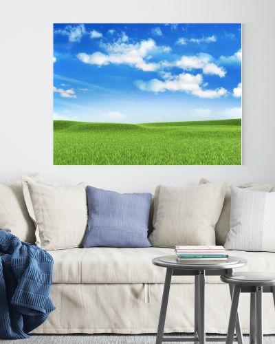 Nature background - meadow