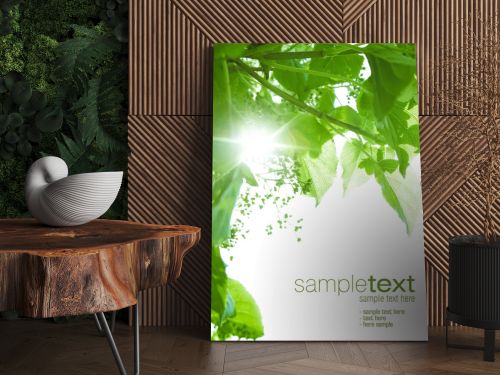 Green leaves and sun rays