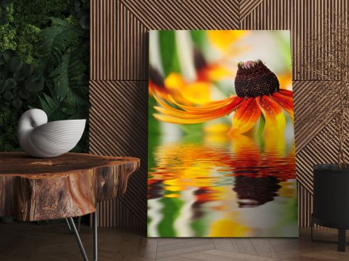 Orange flower reflected in the water