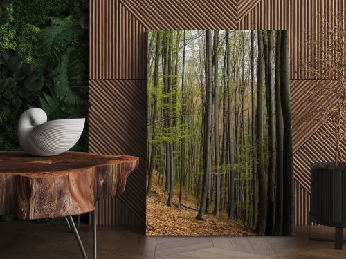 Trees on heel in mountain forest 