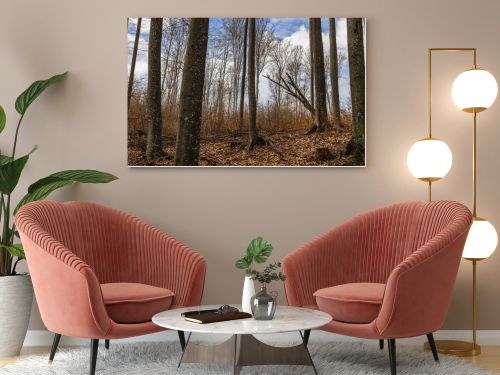 Trees on mountain hill and sky at background in autumn 