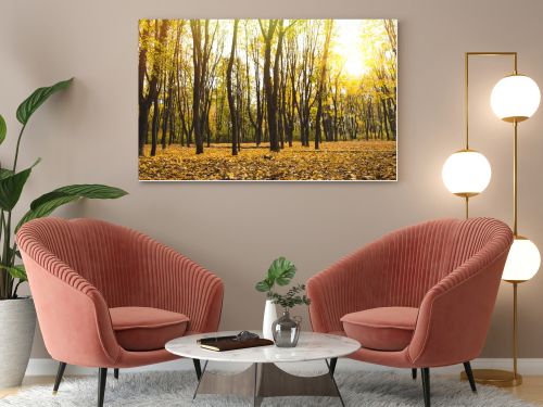 beautiful autumn park