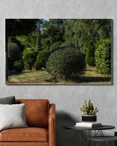 Trees and bushes on green grass in park, panoramic shot