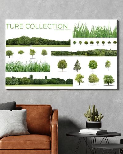 View of a Very high definition Treeline, grass and tree collection isolated on a white background