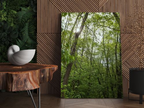 Low angle view of green forest with leaves trees