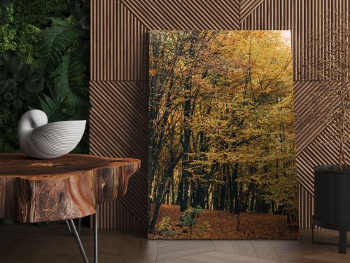 Yellow leaves on tree branches in forrest 