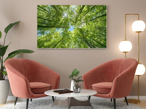 A vibrant view from below a dense green canopy where the sunlight softly filters through the leaves above