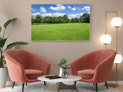 Summer landscape of grass and trees.