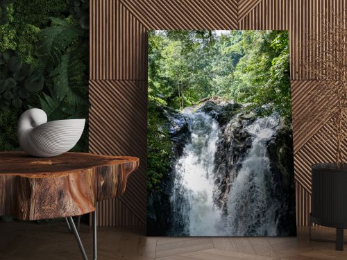 scenic view of Aling-Aling waterfall and various green plants, Bali, Indonesia