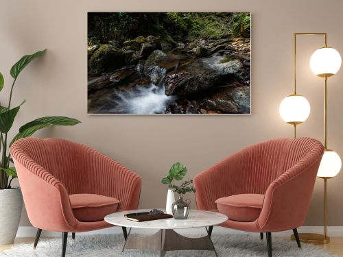 water flowing on wet rocks near green leaves in woods 