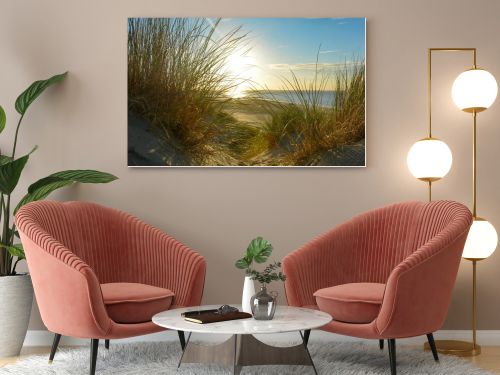 View through beach grass on a sand dune to the sea at sunset, on the North Sea coast in the Netherlands