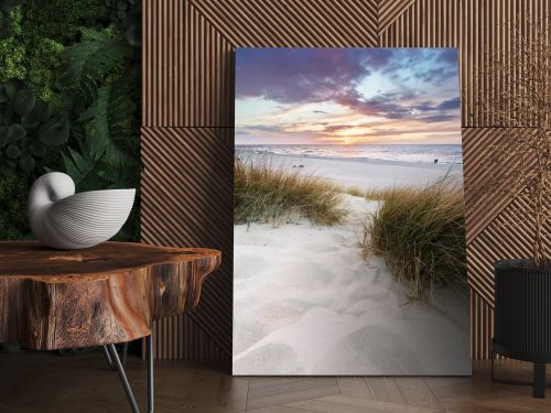 Beach grass on dune, Baltic sea at sunset. Calm landscape