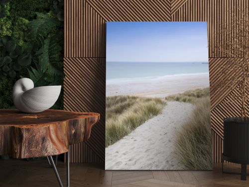 Sandy path leads down through dunes to beautiful golden beach at sunset