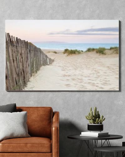 Panorama landscape of sand dunes system on beach at sunrise