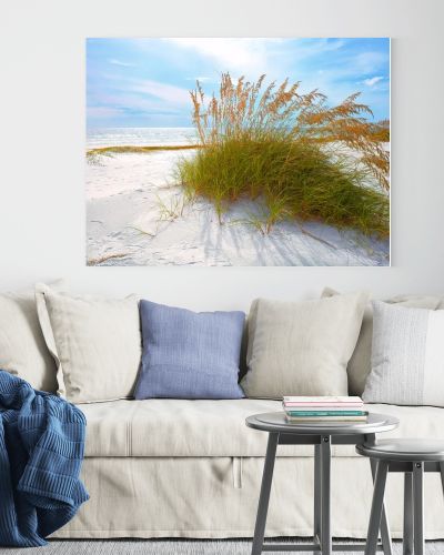 Summer landscape with Sea oats and grass dunes on a beautiful Florida beach