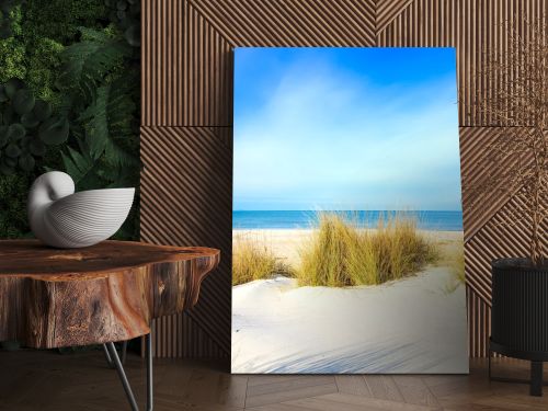 Grass on a white sand dunes beach, ocean and sky