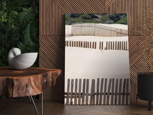 Wooden fences on deserted beach dunes in Tarifa, Spain