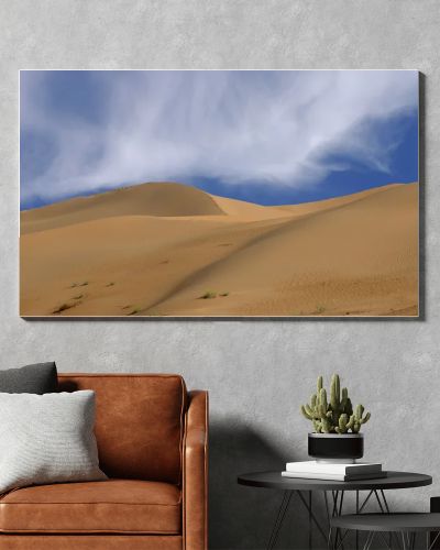 Imperial Sand Dunes