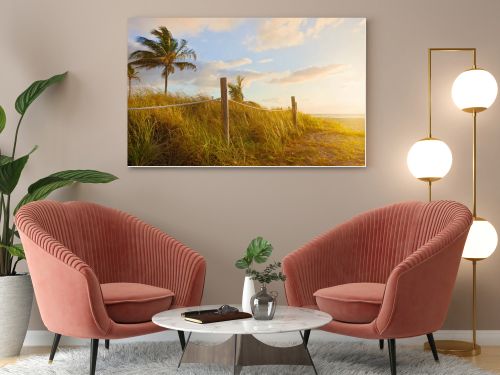 Path to the beach with Sea Oats, grass dunes at sunrise or sunset in Miami Beach, Florida