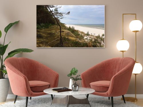 Baltic Sea coastline with sandy beach and pine forest on coastal dunes under dramatic cloudy sky