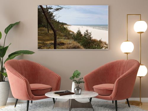 Wide sandy Baltic Sea beach with coastal pine forest and dune landscape under cloudy summer sky
