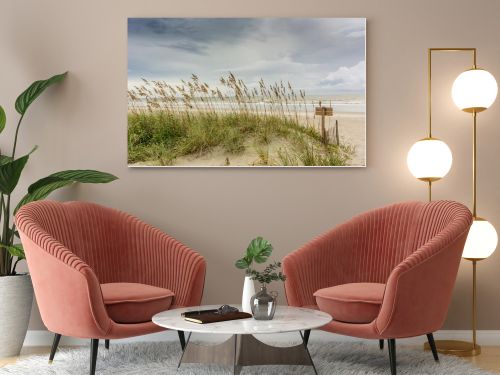 Sea Oats on Dune