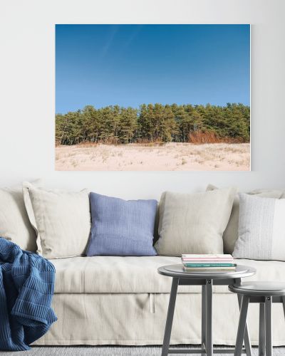 Wide sandy dunes bordered by a dense pine forest beneath a clear blue sky create a clean, natural landscape. Perfect for travel, environment, and wellness themes with ample copy space and calm composition.
