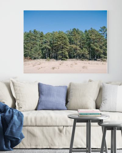 Natural coastal scene with sandy dunes and a dense pine forest beneath a bright blue sky. Clean, minimalist landscape ideal for travel, nature, sustainability, and relaxation concepts with generous copy space.