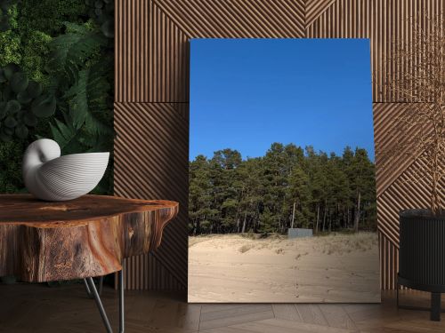 Natural coastal landscape with sandy beach dunes and dense pine forest beneath a vivid blue sky. Peaceful outdoor scene ideal for travel, nature, environment, wellness, and seasonal tourism concepts.
