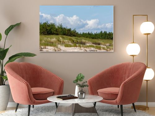 Coastal sand dunes with marram grass, pine forest and cloudy blue sky on the Baltic coast  natural seaside landscape photography
