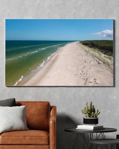 Aerial drone view of long sandy beach and green Baltic Sea coastline with pine forest  summer coastal landscape photography