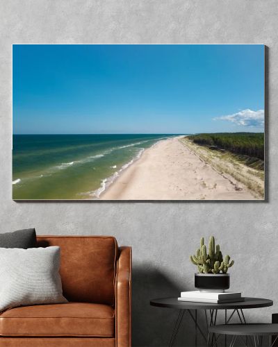 Aerial drone view of long sandy beach and green Baltic Sea coastline with pine forest  summer coastal landscape photography