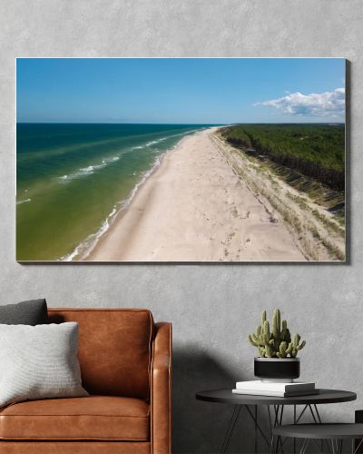 Aerial drone view of long sandy beach and green Baltic Sea coastline with pine forest  summer coastal landscape photography