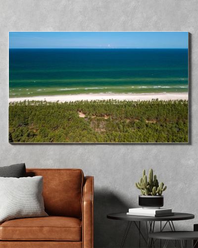 Aerial drone view of long sandy beach and green Baltic Sea coastline with pine forest  summer coastal landscape photography