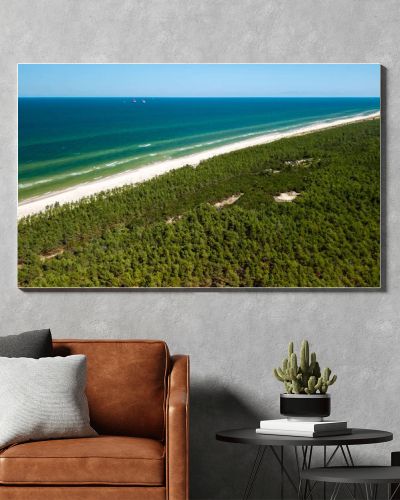 Aerial drone view of long sandy beach and green Baltic Sea coastline with pine forest  summer coastal landscape photography