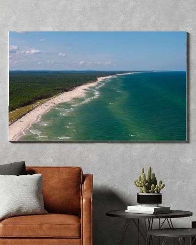Aerial drone view of long sandy beach and green Baltic Sea coastline with pine forest  summer coastal landscape photography