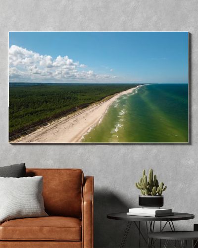 Aerial drone view of long sandy beach and green Baltic Sea coastline with pine forest  summer coastal landscape photography