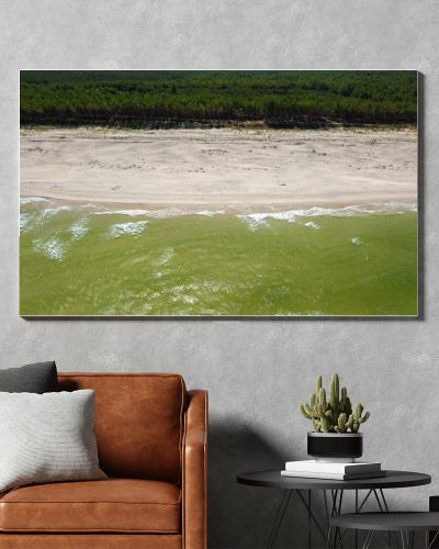 Aerial drone view of empty sandy beach, green Baltic Sea waves and pine forest coastline  natural seaside landscape photography
