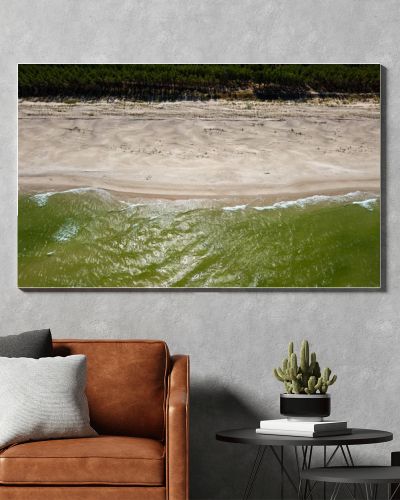 Aerial drone view of empty sandy beach, green Baltic Sea waves and pine forest coastline  natural seaside landscape photography