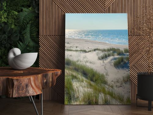 Panoramic view of sandy beach dunes with green vegetation meeting Baltic Sea horizon in Leba Poland summer landscape. High quality photograph